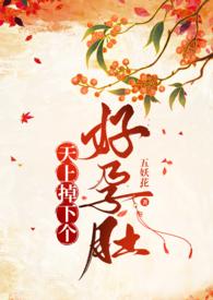 天上掉下个媳妇