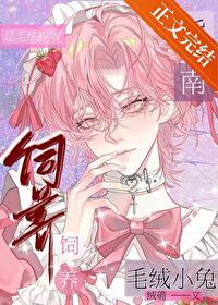 毛绒的兔子