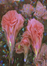 强制盗窃电视剧