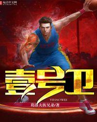 壹号卫士属于什么档次