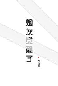炮灰苏醒后 百度