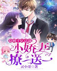 隐婚甜蜜蜜总裁宠上瘾