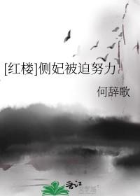 侧妃不过只是妾室