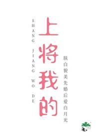 我的上将老公