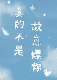 我真的不是故意的是什么意思