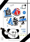 追个锤子免费