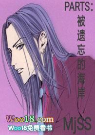 被遗忘的海岸第8关怎么过