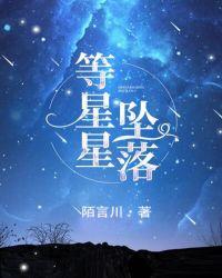 等星星坠落免费阅读全文