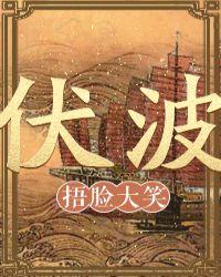 伏波将军是指谁