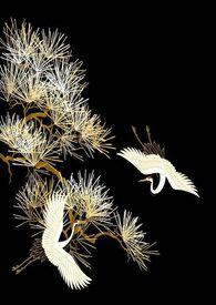 西京烬余录完结了吗