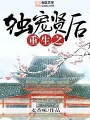 重生之独宠贤后作者乔胧