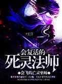 死灵法师三技能复活怪无尽