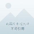 全民领主我的亡灵骷髅亿亿万