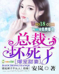 宠妻总裁坏透了完整版坏