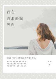 作者我在流浪的作品