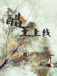 醋王怎么进去的