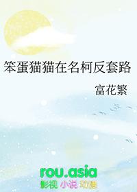 笨蛋idiot