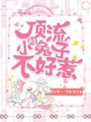 顶流作者不好惹免费