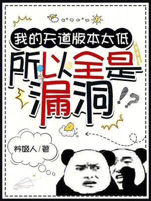 所以全是漏洞 篱笆好