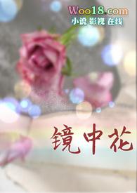 镜中花开(高h)