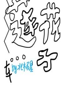 莲花是什么