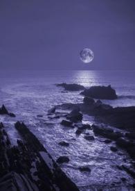 暗夜深海
