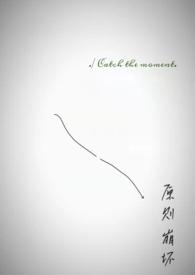 原则崩坏同类型