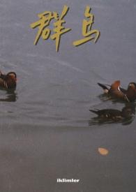 群鸟飞过湖面写具体