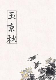 玉京秋楚秉之赵砚免费