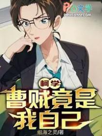 曹贼竟是我自己是什么意思
