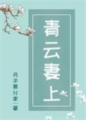 青云妻上 作者月半要分家