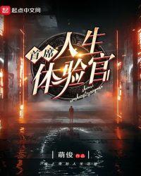 首席人生体验官全本网