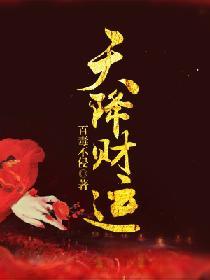 天降财运奇书网
