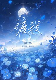 渡我全文免费阅读曲小