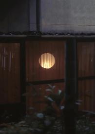 摘月亮的人by任平生讲的什么