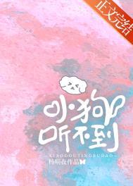 小狗听不到txt全文