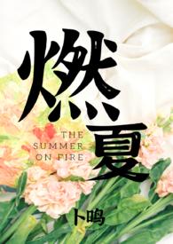 燃夏婚恋全文免费阅读