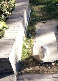 媚欢(上位)无三观笔趣阁全文