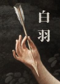 白羽最新章节