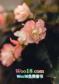 游园惊梦原文阅读