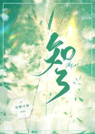 知了未了作品集