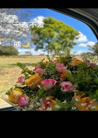 一言不发前面一句是什么