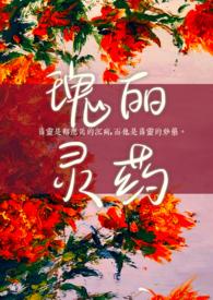 瑰丽是什么意思?