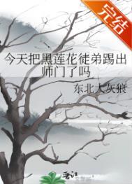 黑莲花今天洗白了吗完结了吗