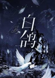 白鸽全文