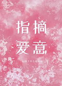 指摘啥意思