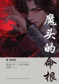 魔头是坏人的意思么