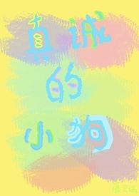 真诚的小眼神图片