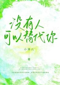 没有人可以代替我英文