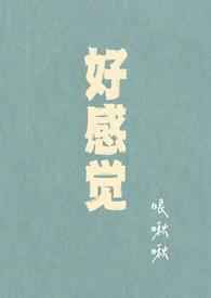 好感和感觉有什么区别